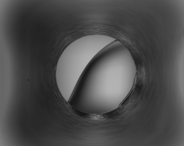 X0000098100333200804040751