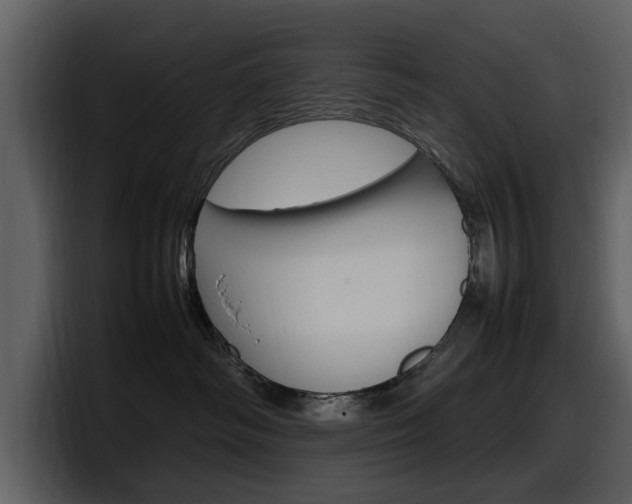 X0000098100334200804040751