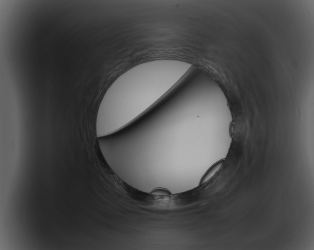 X0000098100335200804040751