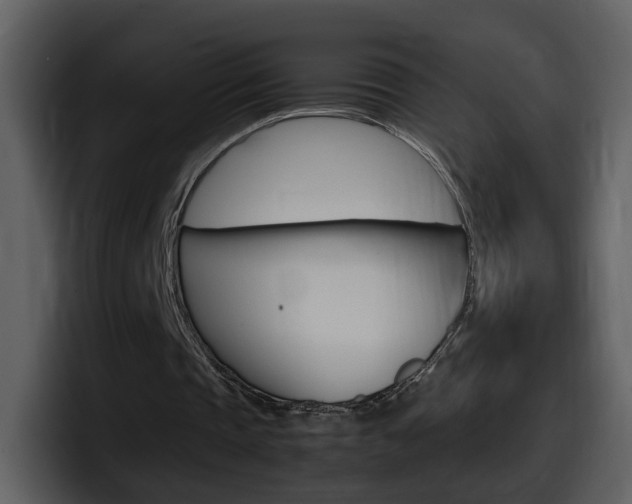 X0000098100337200804040751