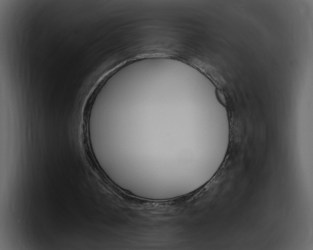 X0000098100338200804040751