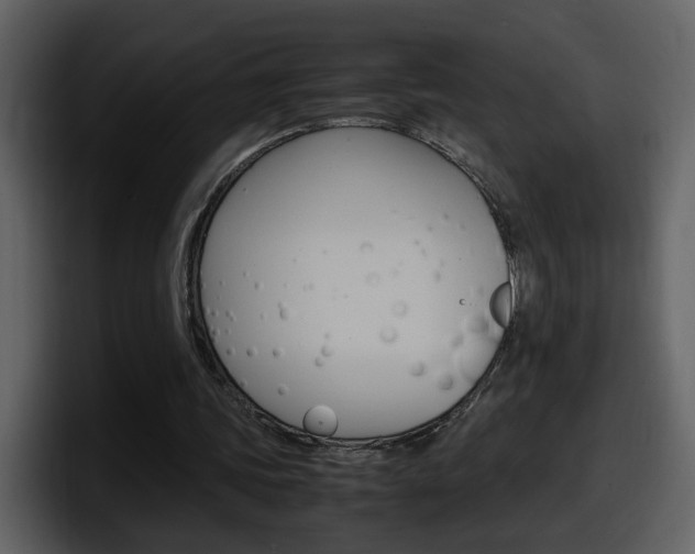 X0000098100339200804040751