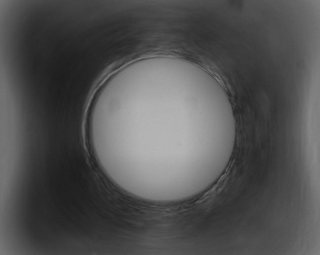 X0000098100340200804040751
