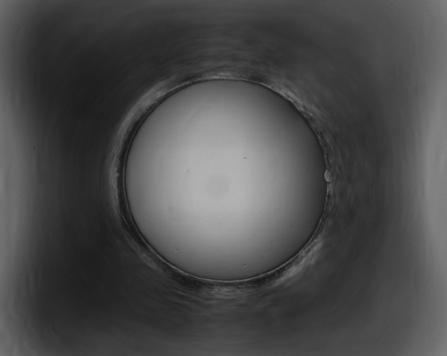 X0000098100341200804040751