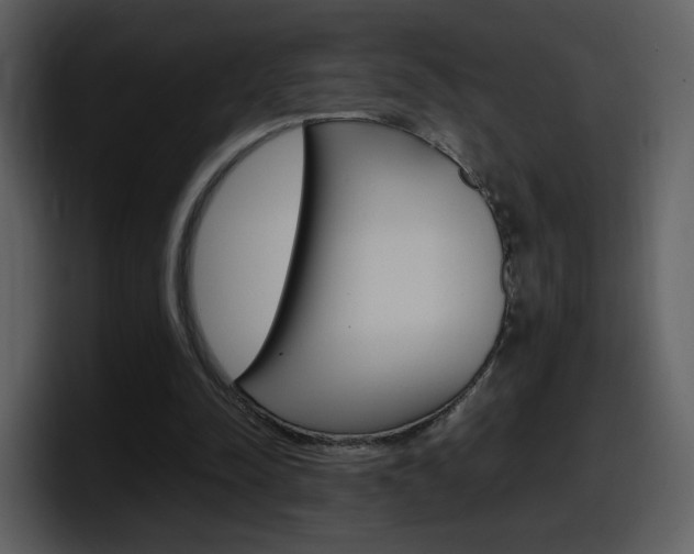 X0000098100342200804040751