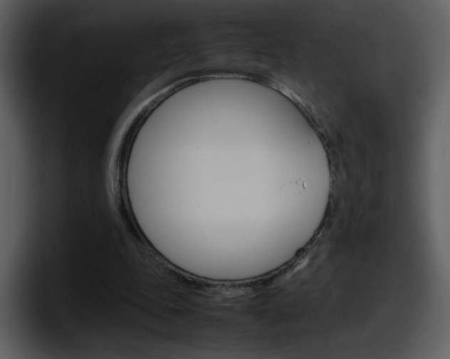 X0000098100343200804040751