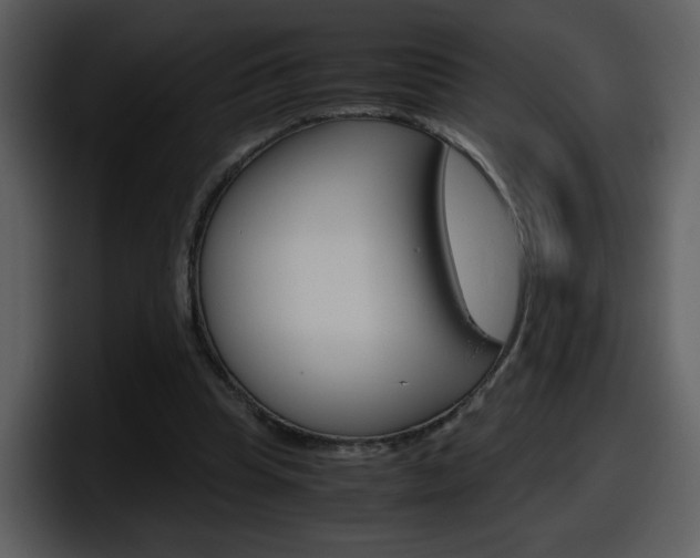 X0000098100345200804040751
