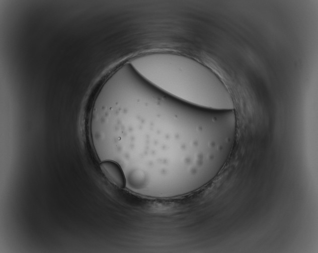 X0000098100346200804040751