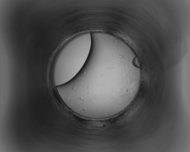 X0000098100347200804040751
