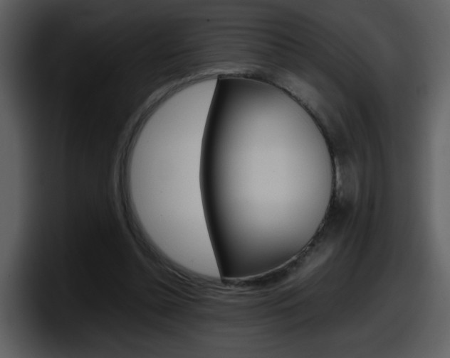 X0000098100348200804040751