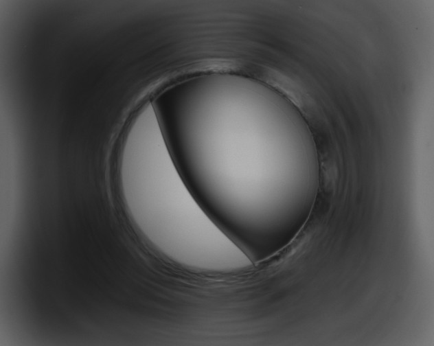 X0000098100350200804040751