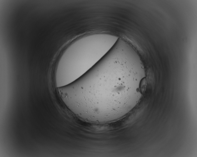 X0000098100351200804040751