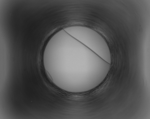 X0000098100352200804040751