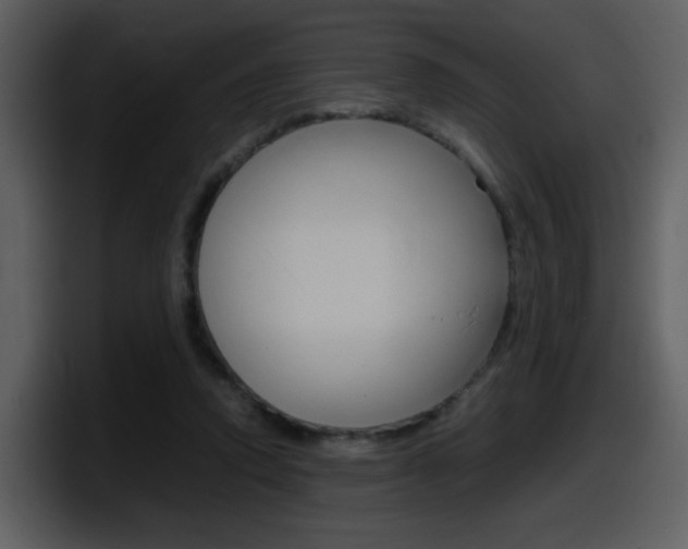 X0000098100354200804040751