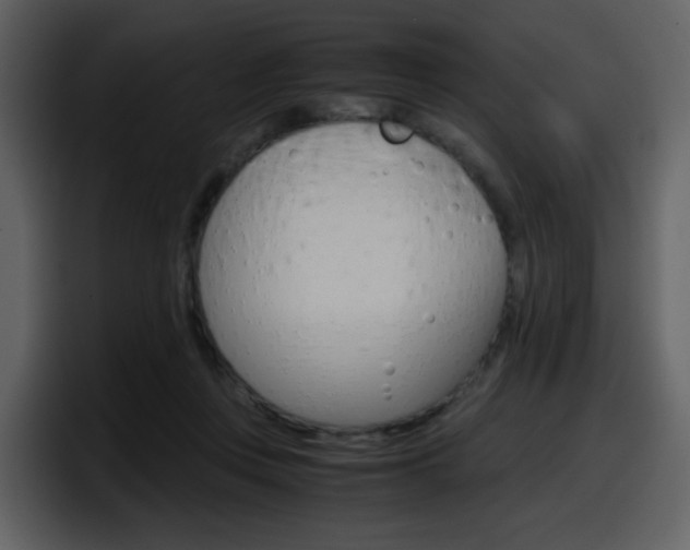 X0000098100359200804040751