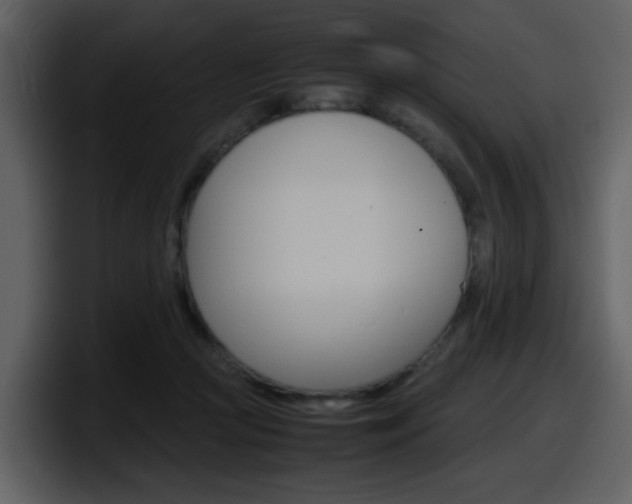 X0000098100361200804040751
