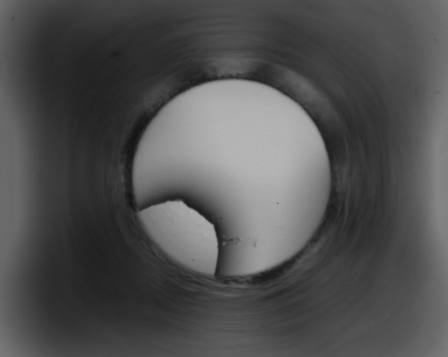X0000098100362200804040751