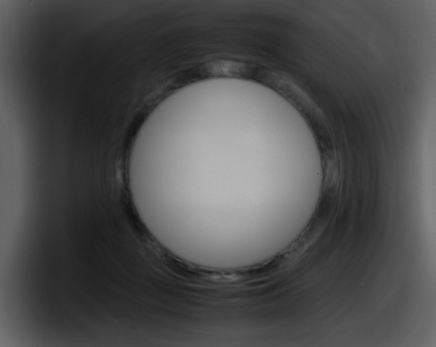 X0000098100363200804040751