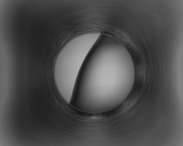 X0000098100364200804040751
