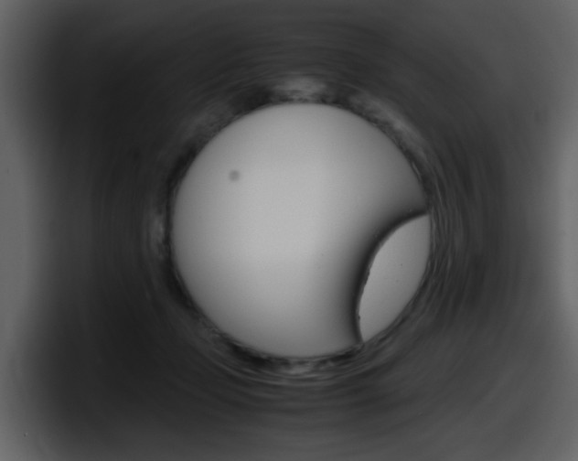 X0000098100365200804040751
