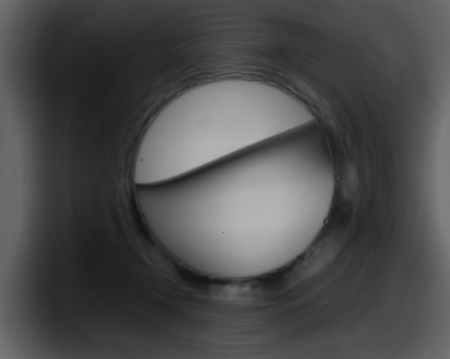 X0000098100366200804040751
