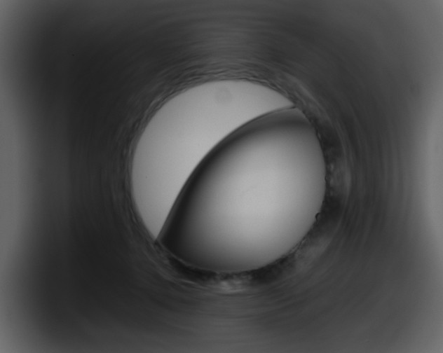 X0000098100368200804040751