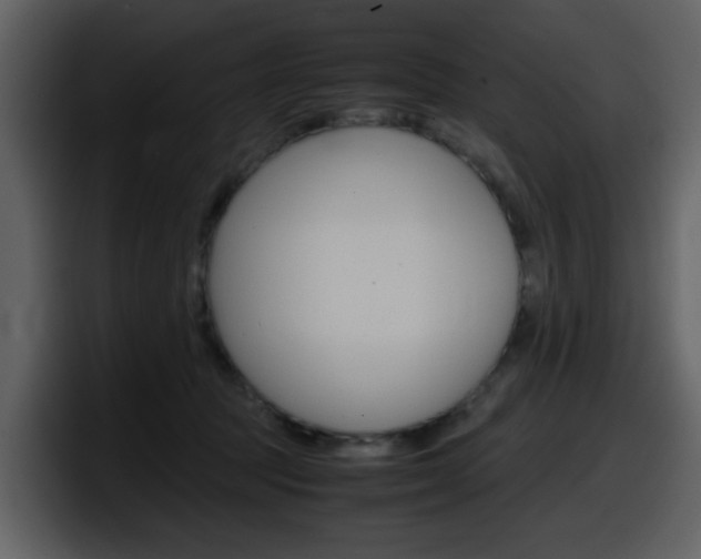 X0000098100369200804040751