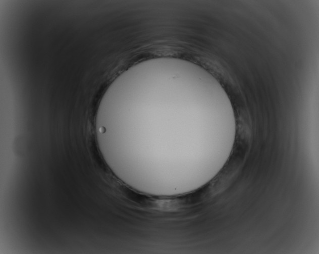 X0000098100371200804040751