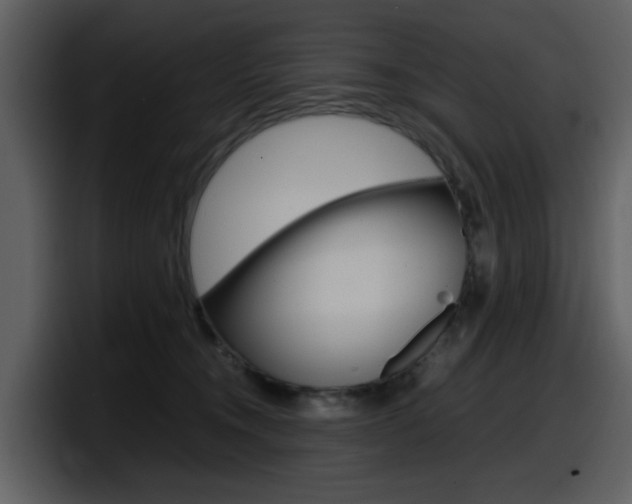 X0000098100372200804040751