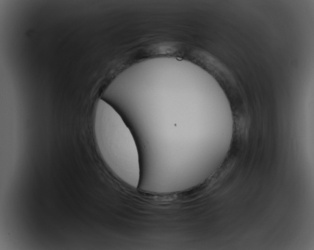 X0000098100373200804040751
