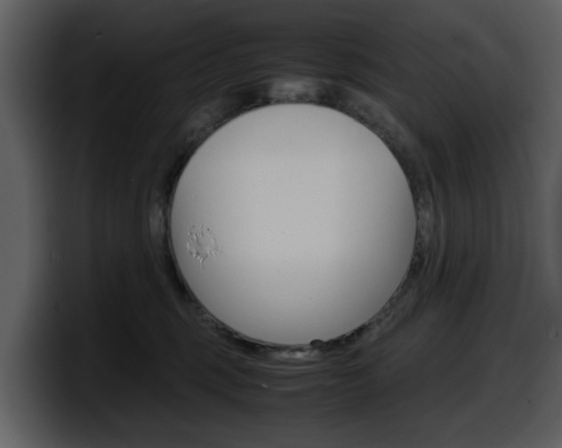 X0000098100375200804040751