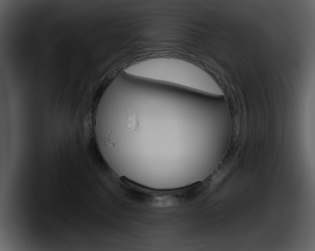 X0000098100376200804040751