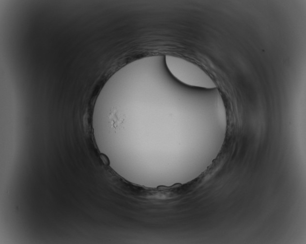 X0000098100377200804040751