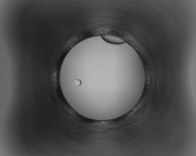 X0000098100378200804040751