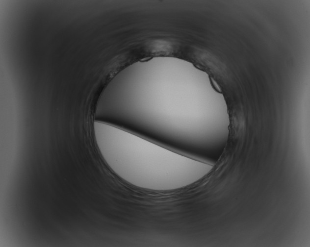 X0000098100379200804040751