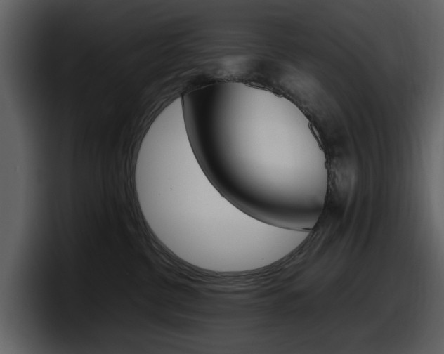 X0000098100380200804040751