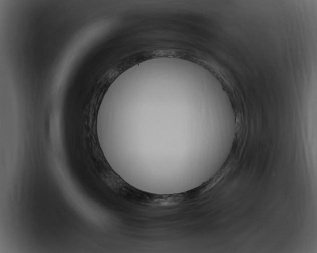 X0000098100381200804040751
