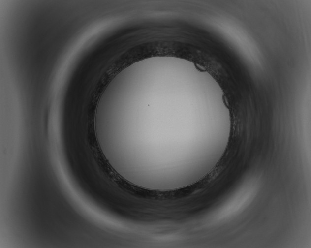 X0000098100383200804040751