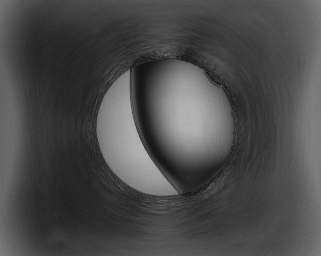 X0000098100384200804040751