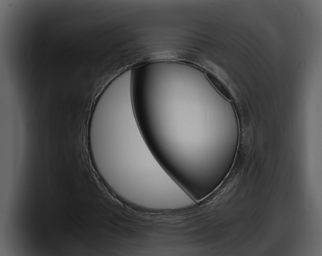 X0000098100385200804040751
