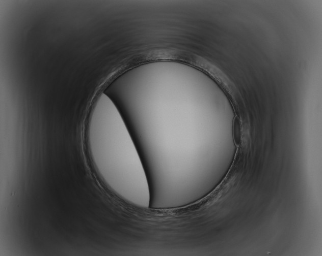 X0000098100386200804040751