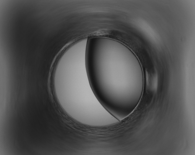 X0000098100387200804040751