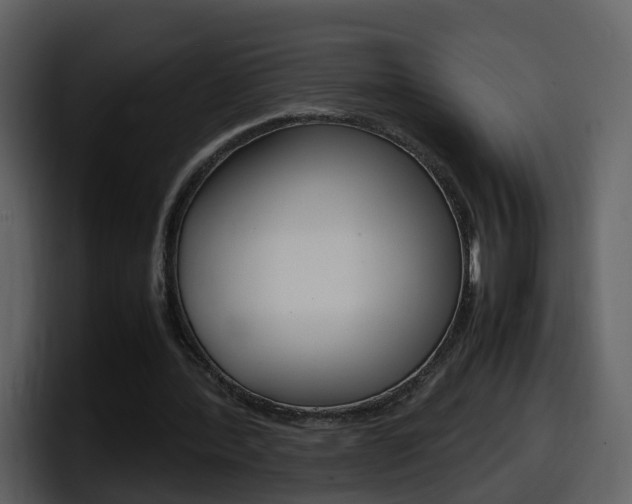 X0000098100388200804040751
