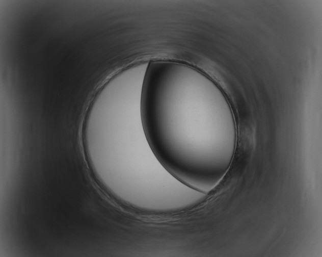 X0000098100389200804040751