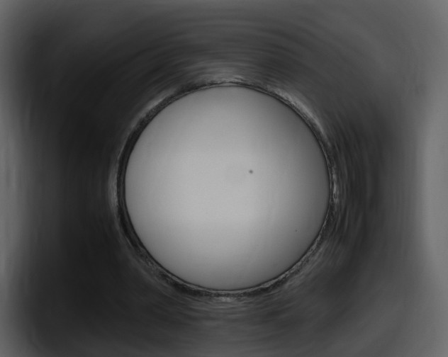 X0000098100390200804040751