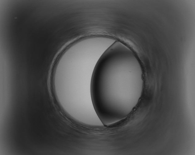 X0000098100391200804040751