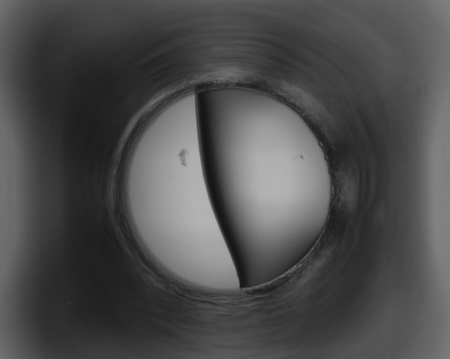 X0000098100392200804040750