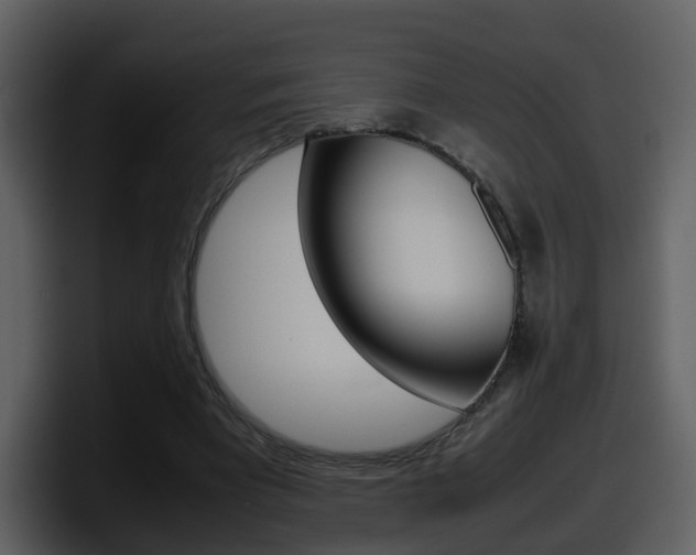 X0000098100393200804040750