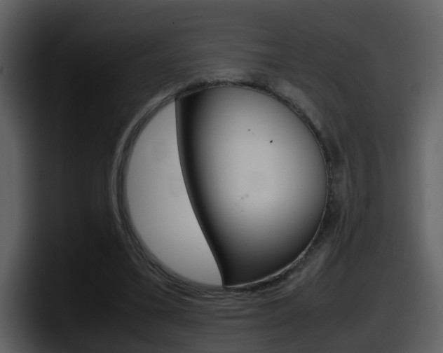 X0000098100395200804040750