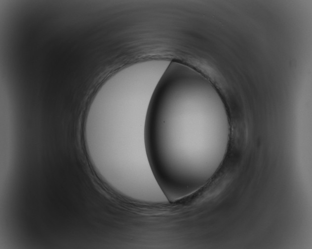 X0000098100397200804040750